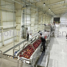 380V 50Hz Línea de producción de mermelada de manzana / jugo 2t/h Ahorro de agua