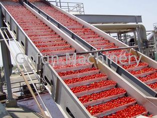 El PLC controla la línea de transformación del tomate de la máquina de la transformación de los alimentos ciclo del agua