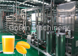 Línea de transformación de fruta del mango de la escala industrial garantía completamente automática de 1 año