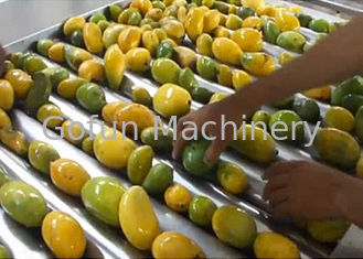 Máquina de proceso secada avanzada del mango/secadora del mango comercial