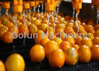 SUS304 500T/D Línea de procesamiento de cítricos extracción automática de jugo