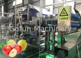 Cadena de producción completamente automática del zumo de manzana tecnología preliminar avanzada del arsenal