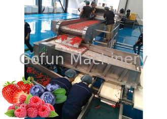 SUS 304 Berry Processing Equipment 10-100T/D de los frutos secos