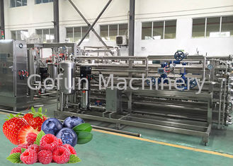 La línea de transformación de llavero de Berry Paste Pulp Industrial Pasteurizer fácil limpia