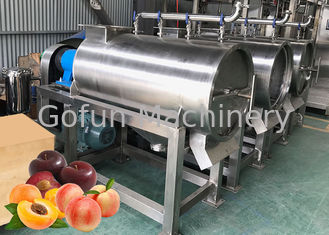 Línea de transformación de fruta de los SS 304 puré del jugo de la planta de tratamiento del melocotón secado
