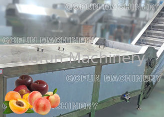 Línea de transformación de fruta de los SS 304 puré del jugo de la planta de tratamiento del melocotón secado