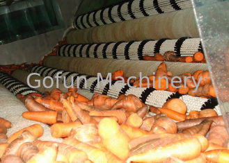 Planta de tratamiento industrial de la zanahoria/equipo de proceso estable de la zanahoria