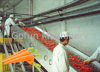 Equipo de proceso profesional de la planta de tratamiento/de fruta y verdura de la zanahoria