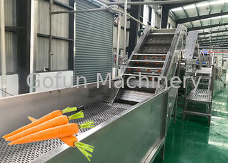Ahorro de la energía de la planta de tratamiento de la zanahoria del equipo de proceso de fruta y verdura