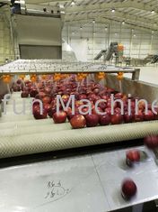 380V 50Hz Línea de producción de mermelada de manzana / jugo 2t/h Ahorro de agua
