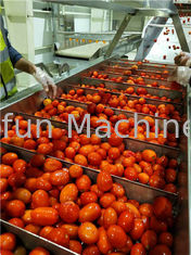800g/Tin Concentrated Tomato Processing Line puede empaquetar