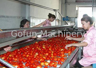 Línea de transformación de acero inoxidable de 304 tomates de la categoría alimenticia 380V multifuncional