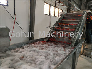 Cadena de producción completa del tomate SS306 concentración de la goma de 500kw