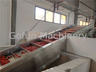 Planta de tratamiento industrial del puré del tomate de 250T/D 440V