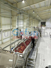 Línea de transformación de 3T/H Apple para Juice Complete Plant Preheating