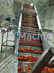 Cadena de producción de la salsa de tomate de tomate 25T/H relleno aséptico de la categoría alimenticia