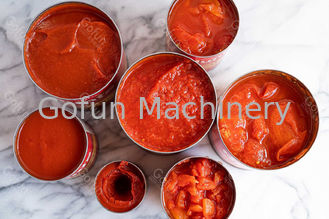salsa de tomate de tomate 100t/D que mezcla procesando el acero inoxidable 304 con el bolso aséptico