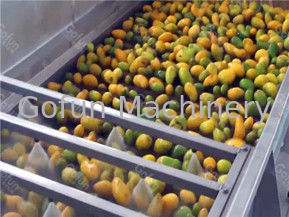 Línea de transformación de acero inoxidable del mango de 20 t/h mango automático Juice Making Machine
