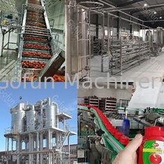 Línea de producción de tomate de grado alimentario SUS304 personalizada 100T/D