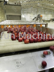 Atasco de 10 t/h Apple que hace máquina la línea de transformación automática de fruta 15kw
