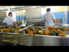 cómo el jugo de piña se hace en fábrica|jugo de piña| line-1-3T/H