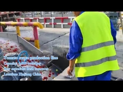 ¿Qué maquinaria se necesita para producir salsa de tomate?