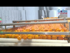 Línea de producción industrial de procesamiento de jugo NFC, un conjunto completo de limpieza, extracción de jugo, esterilización