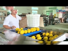 Máquina de clasificación de rodillos