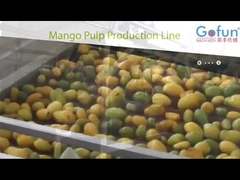 Línea de producción de puré de mango conjunto completo de máquinas para plantas de procesamiento de jugo