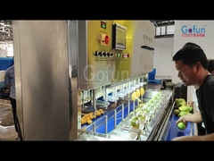 Máquina para pelar mangos comerciales para papayas, patatas y zanahorias máquina especial para pelar a gran velocidad