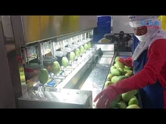 Máquina inteligente para pelar papas para frutas y verduras con 8 juegos de cuchillos