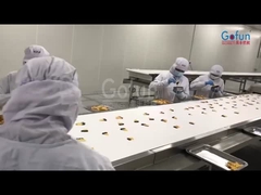 Máquina de procesamiento de mango seco industrial para la línea de producción de frutas y verduras secas