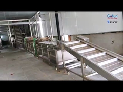 Equipo de procesamiento de frutas tropicales: pulpa + jugo + frutas secas tres en uno