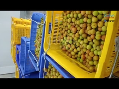 Una línea de procesamiento de pulpa de ciruela con una capacidad de 5 toneladas por hora personalizada para empresas chinas