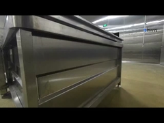 Máquina automática de limpieza de frutas y verduras Juego completo de líneas de limpieza para frutas y verduras