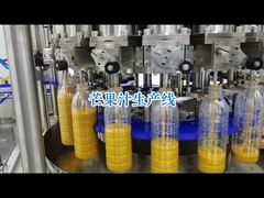 La calidad es visible: Estandarización de la inspección de calidad del embalaje en las líneas de procesamiento de tomate