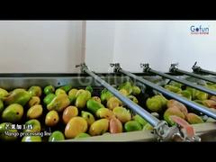 Línea de producción de jugo de mango premium