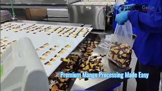 Línea de procesamiento de mango premium Solución de mango seco, masticable y suave