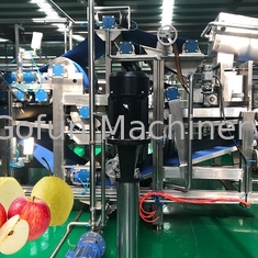 380V industrias de Apple Juice Processing Line For Food del SUS 304