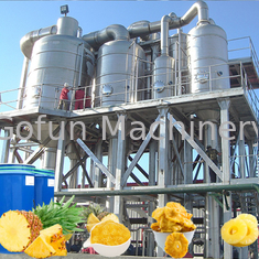 UHT línea de procesamiento de ananas de jugo esterilizante 1500T/día