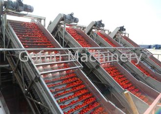 Línea de transformación vegetal industrial línea de transformación de la pasta de tomate agua que ahorra la operación fácil