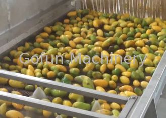 Secador industrial automático de la fruta/secadora de la fruta industrial