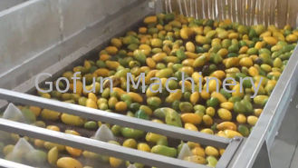 Alta tarifa de extracción de la alta de la pequeña escala planta de tratamiento eficaz del mango