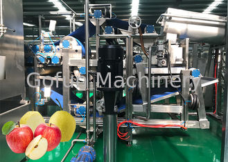 Cadena de producción automática de ISO9001 50 T/D Apple 304 acero inoxidable