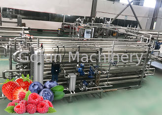 La línea de transformación de llavero de Berry Paste Pulp Industrial Pasteurizer fácil limpia