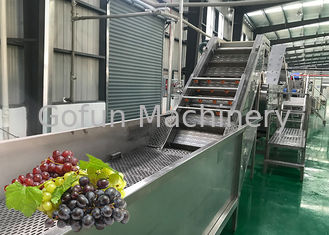Lavadora fresca de la uva del equipo de proceso del zumo de fruta del ahorro del agua favorable al medio ambiente