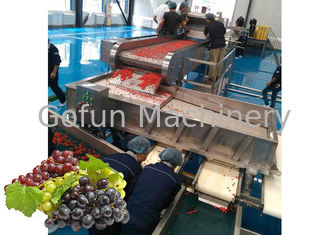 Línea del tratamiento del zumo de uva/equipo de proceso concentrados del zumo de fruta