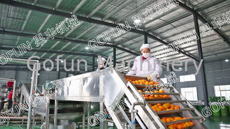 Equipo profesional de procesamiento de cítricos de mandarina 5T/H Certificado ISO