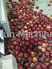 CE Apple automático industrial Juice Processing Machine 7.5kw SUS304
