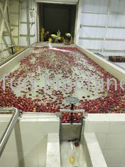 Ahorro de agua Ahorro de energía Proyecto llave en mano de la línea de producción de mermelada de jugo de manzana concentrada de frutas